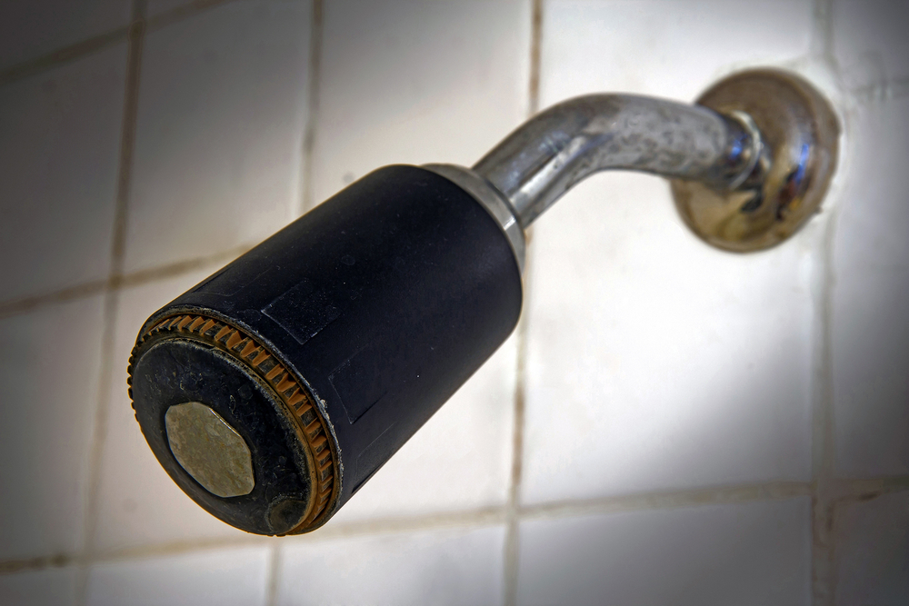 Easy Solutions to the 4 Most Common Shower Problems Shower Head