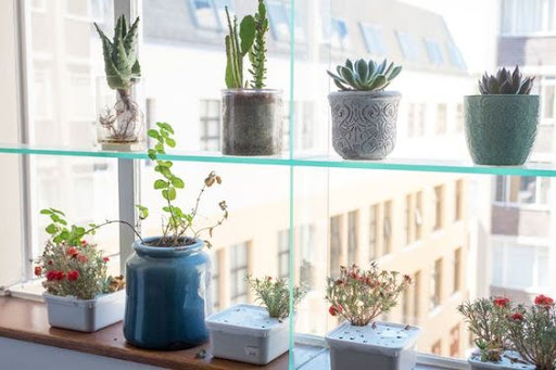 Simple Glass Shelves